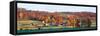 Autumnal trees in farm, Wilmington, Vermont, USA-Panoramic Images-Framed Stretched Canvas