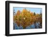 Autumnal trees reflecting in lake, Penzberg, Germany-Konrad Wothe-Framed Photographic Print