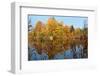 Autumnal trees reflecting in lake, Penzberg, Germany-Konrad Wothe-Framed Photographic Print