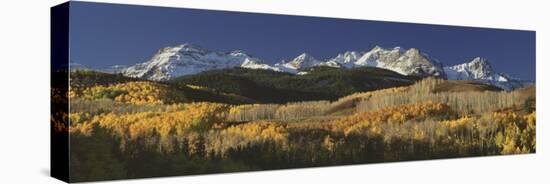 Autumnal View of Aspen Trees and the Rocky Mountains, San Juan National Park, Colorado, USA-null-Stretched Canvas