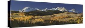 Autumnal View of Aspen Trees and the Rocky Mountains, San Juan National Park, Colorado, USA-null-Stretched Canvas