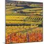 Autumnal Vines, Vineyards, Bathings Near Vienna, Southern Viennese Basin, Viennese Wood-Rainer Mirau-Mounted Photographic Print