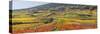 Autumnal Vines, Vineyards, Bathings Near Vienna, Southern Viennese Washbasin, Viennese Wood-Rainer Mirau-Stretched Canvas