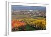 Autumnal Vines, Vineyards, PfaffstŠtten, Baden Near Vienna, Southern Vienna Basin-Rainer Mirau-Framed Photographic Print