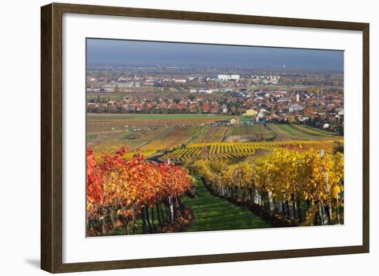Autumnal Vines, Vineyards, PfaffstŠtten, Baden Near Vienna, Southern Vienna Basin-Rainer Mirau-Framed Photographic Print