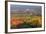 Autumnal Vines, Vineyards, PfaffstŠtten, Baden Near Vienna, Southern Vienna Basin-Rainer Mirau-Framed Photographic Print