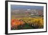 Autumnal Vines, Vineyards, PfaffstŠtten, Baden Near Vienna, Southern Vienna Basin-Rainer Mirau-Framed Photographic Print