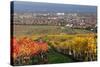 Autumnal Vines, Vineyards, PfaffstŠtten, Baden Near Vienna, Southern Vienna Basin-Rainer Mirau-Stretched Canvas