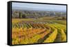 Autumnal Vineyards in the Termenregion, Baden Near Vienna, Austria-Rainer Mirau-Framed Stretched Canvas