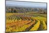 Autumnal Vineyards in the Termenregion, Baden Near Vienna, Austria-Rainer Mirau-Mounted Photographic Print