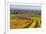 Autumnal Vineyards in the Termenregion, Baden Near Vienna, Austria-Rainer Mirau-Framed Photographic Print