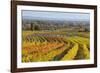 Autumnal Vineyards in the Termenregion, Baden Near Vienna, Austria-Rainer Mirau-Framed Photographic Print