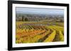 Autumnal Vineyards in the Termenregion, Baden Near Vienna, Austria-Rainer Mirau-Framed Photographic Print