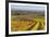 Autumnal Vineyards in the Termenregion, Baden Near Vienna, Austria-Rainer Mirau-Framed Photographic Print