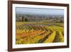 Autumnal Vineyards in the Termenregion, Baden Near Vienna, Austria-Rainer Mirau-Framed Photographic Print