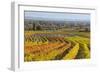 Autumnal Vineyards in the Termenregion, Baden Near Vienna, Austria-Rainer Mirau-Framed Photographic Print