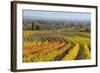 Autumnal Vineyards in the Termenregion, Baden Near Vienna, Austria-Rainer Mirau-Framed Photographic Print