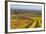 Autumnal Vineyards in the Termenregion, Baden Near Vienna, Austria-Rainer Mirau-Framed Photographic Print