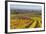 Autumnal Vineyards in the Termenregion, Baden Near Vienna, Austria-Rainer Mirau-Framed Photographic Print