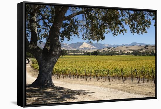 Autumnal Vineyards-Stuart Black-Framed Stretched Canvas