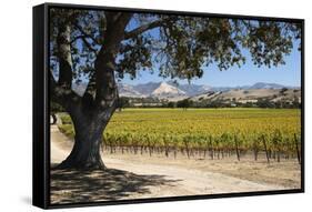 Autumnal Vineyards-Stuart Black-Framed Stretched Canvas