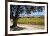 Autumnal Vineyards-Stuart Black-Framed Photographic Print