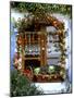 Autumnal Window Decoration with Apples and Cabbage-Roland Krieg-Mounted Photographic Print