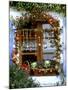 Autumnal Window Decoration with Apples and Cabbage-Roland Krieg-Mounted Photographic Print