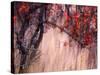 Autumnal-Ursula Abresch-Stretched Canvas
