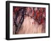 Autumnal-Ursula Abresch-Framed Photographic Print