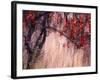 Autumnal-Ursula Abresch-Framed Photographic Print