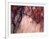 Autumnal-Ursula Abresch-Framed Photographic Print