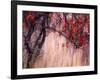 Autumnal-Ursula Abresch-Framed Photographic Print