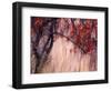 Autumnal-Ursula Abresch-Framed Photographic Print