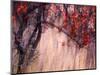 Autumnal-Ursula Abresch-Mounted Photographic Print