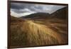 Autumnal-Bragi Ingibergsson --Framed Photographic Print