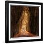 Autumnal-Marcin Sobas-Framed Photographic Print