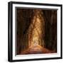 Autumnal-Marcin Sobas-Framed Photographic Print