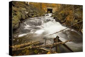 Autumns End-Eye Of The Mind Photography-Stretched Canvas