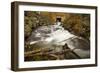 Autumns End-Eye Of The Mind Photography-Framed Photographic Print