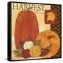 Autums Harvest 1-Holli Conger-Framed Stretched Canvas