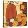 Autums Harvest 1-Holli Conger-Stretched Canvas