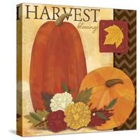 Autums Harvest 1-Holli Conger-Stretched Canvas