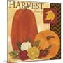 Autums Harvest 1-Holli Conger-Mounted Giclee Print