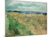 Auvers-Sur-Oise, 1890-Vincent van Gogh-Mounted Giclee Print