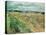 Auvers-Sur-Oise, 1890-Vincent van Gogh-Stretched Canvas