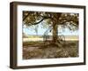 Aux Arbeils Oak-Colby Chester-Framed Photographic Print