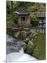 Auxillary Shrine at Eiheiji Temple, Headquarters of the Soto Sect of Zen Buddhism, Fukui, Japan-null-Mounted Photographic Print