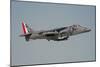 Av-8B Harrier Flying over Nellis Air Force Base, Nevada-Stocktrek Images-Mounted Photographic Print