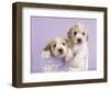 Ava and Ella-Rachael Hale-Framed Art Print